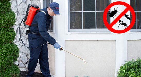 Küçükyalı Akrep İlaçlama böcek ilaçlama ve haşere kontrolü — ilaclama-tr.com